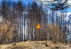 Chernobyl